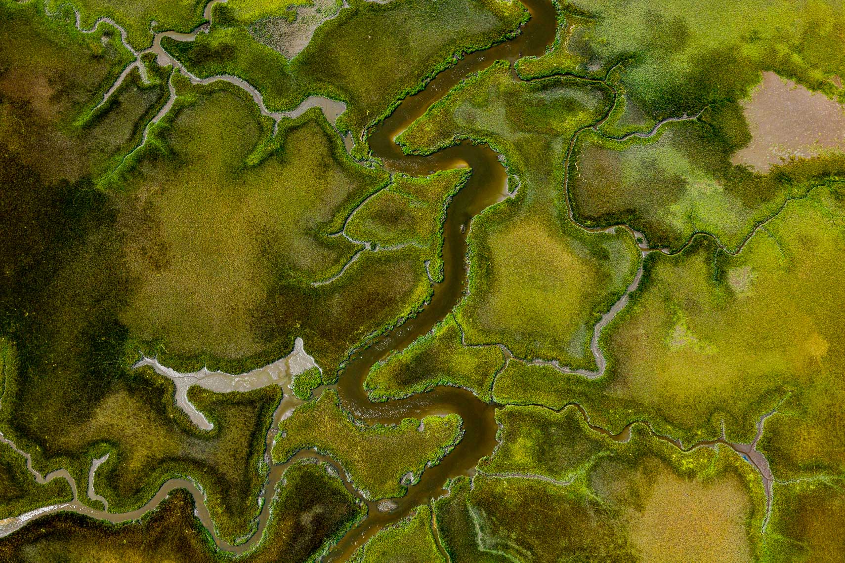 Overhead aerial view of the marsh and intercoastal waterway in north Florida