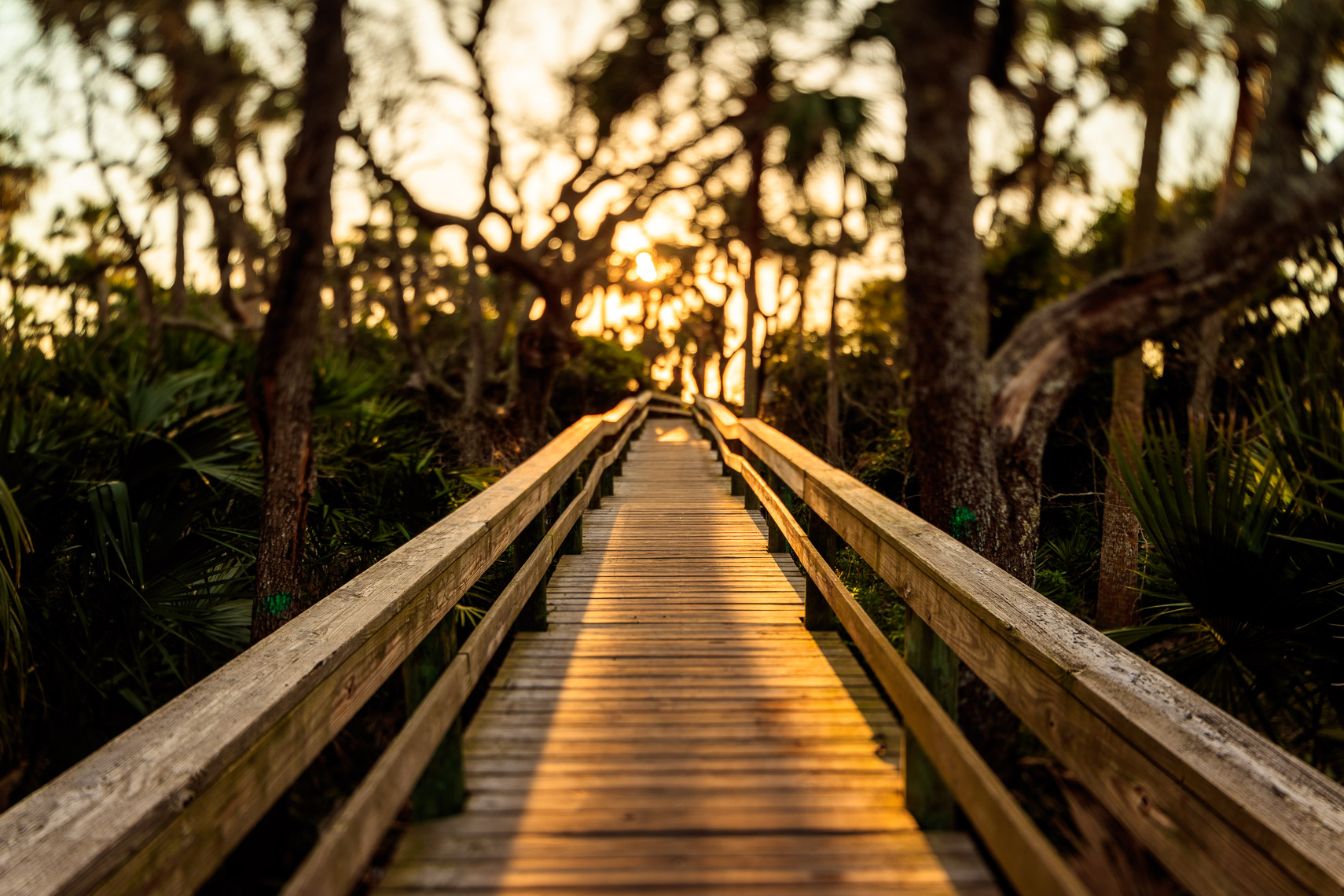 A walkway to the beach in Hanna Park Jacksonville Florida