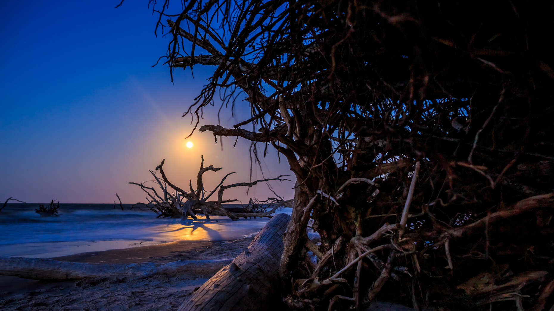 The full moon rises over the trees on Big Talbot Island Florida